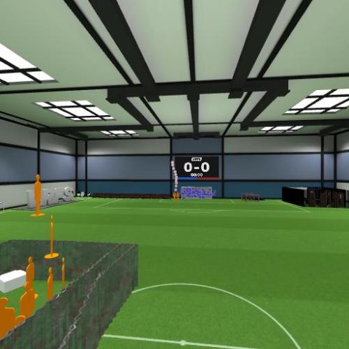 Arena Image