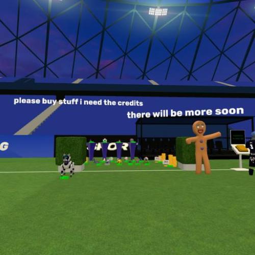 Arena Image