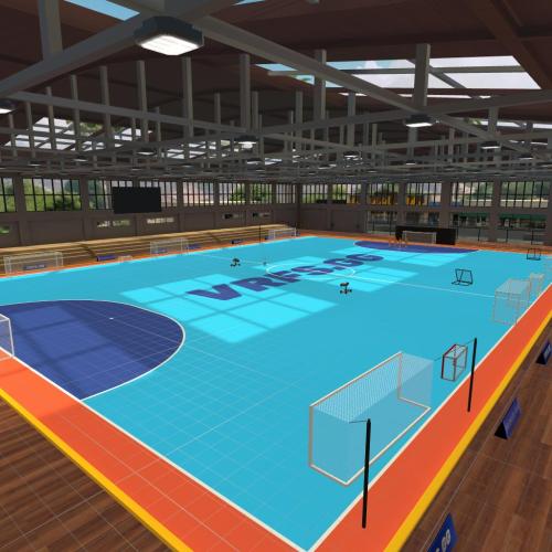 Arena Image