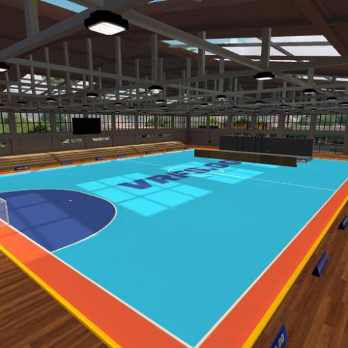 Arena Image