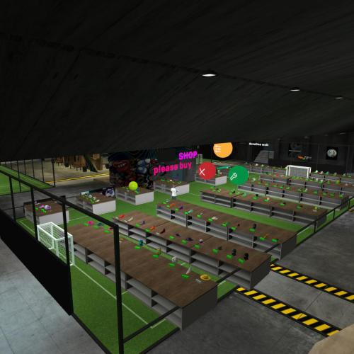 Arena Image