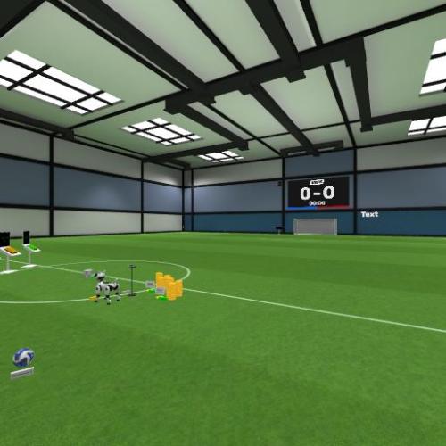 Arena Image