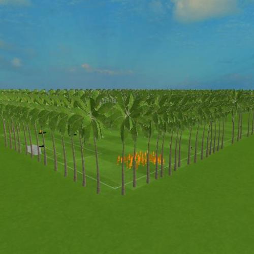 Arena Image