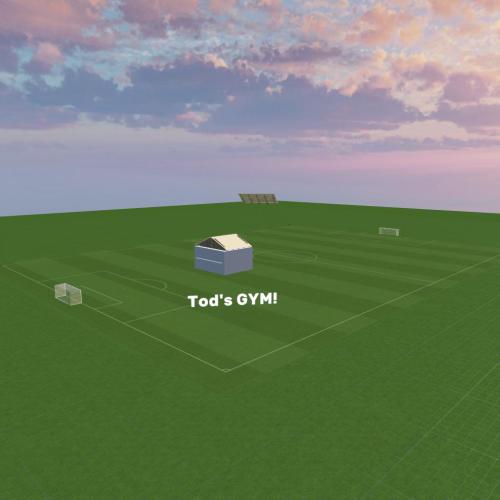 Arena Image