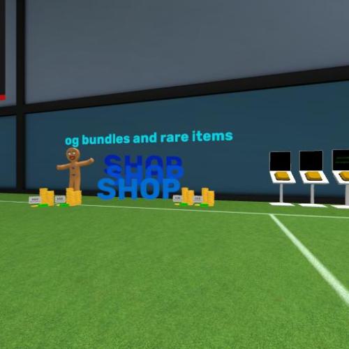 Arena Image