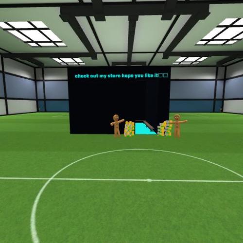 Arena Image