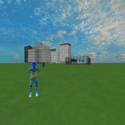 Arena Image