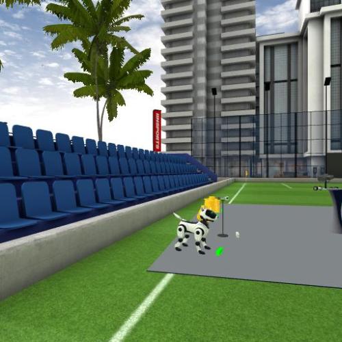 Arena Image
