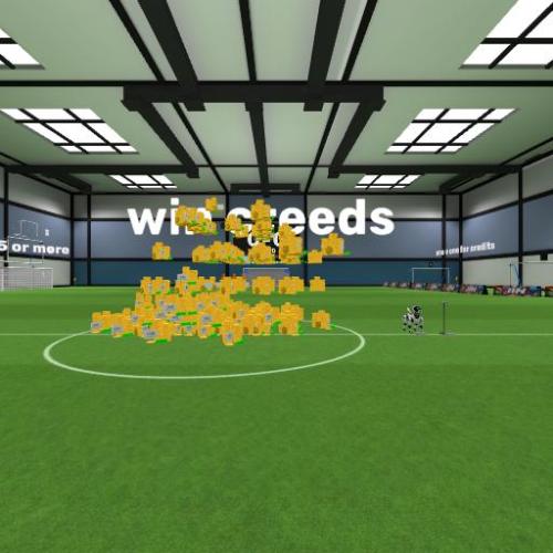 Arena Image