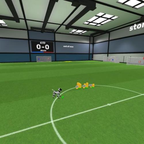Arena Image