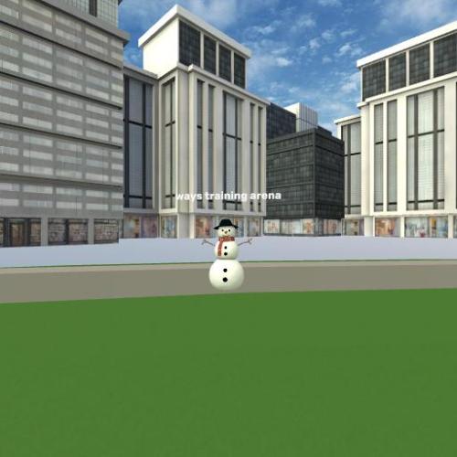 Arena Image