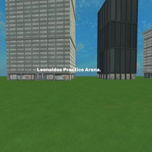 Arena Image