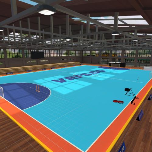 Arena Image