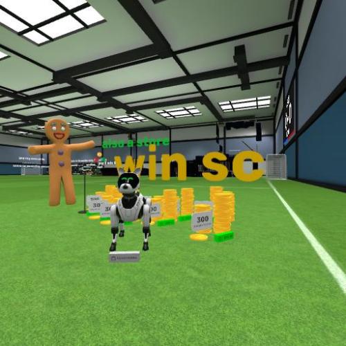 Arena Image
