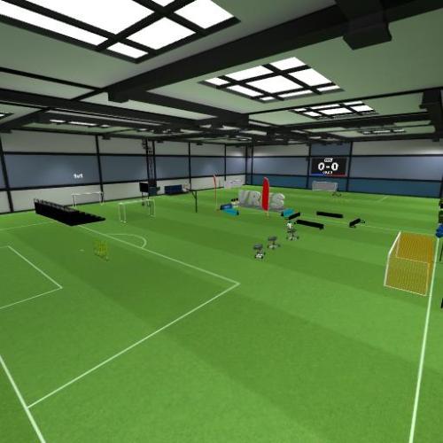 Arena Image