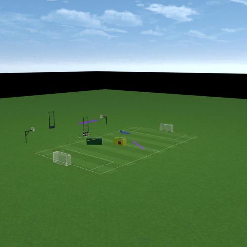 Arena Image
