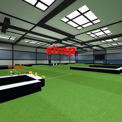 Arena Image