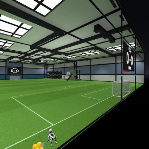 Arena Image