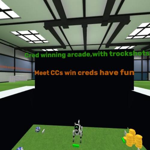 Arena Image