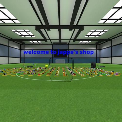 Arena Image