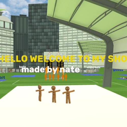 Arena Image