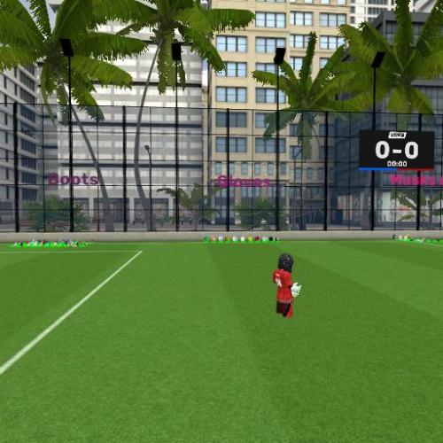 Arena Image