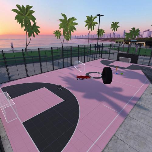 Arena Image