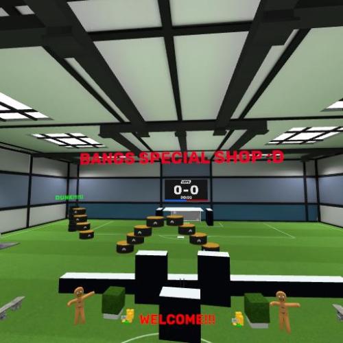 Arena Image