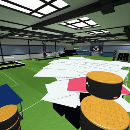 Arena Image