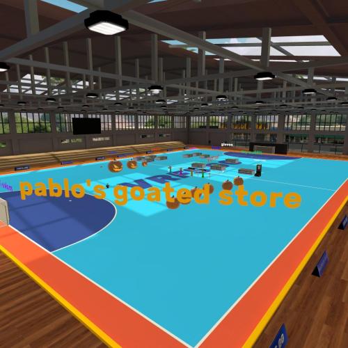 Arena Image