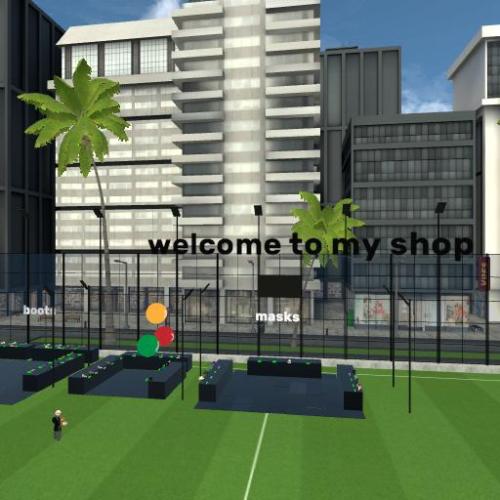 Arena Image