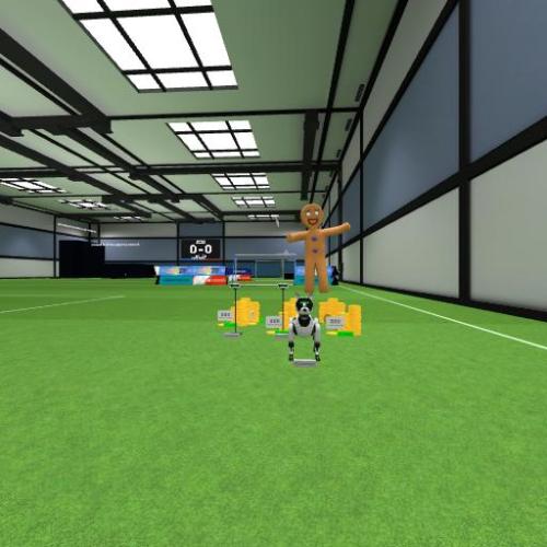 Arena Image