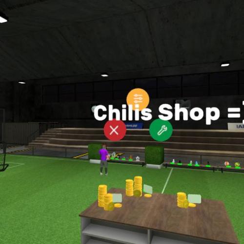 Arena Image