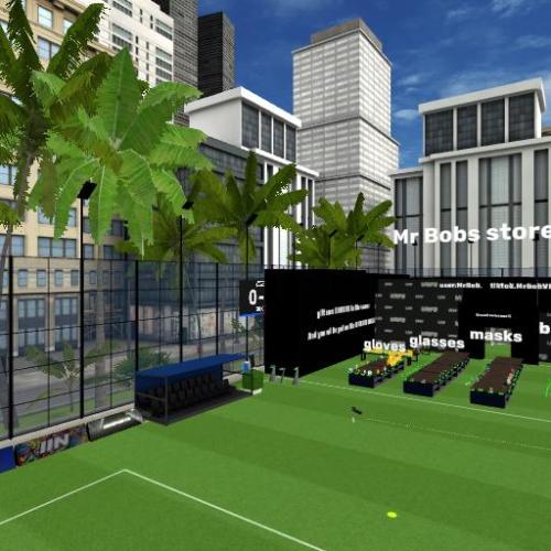Arena Image