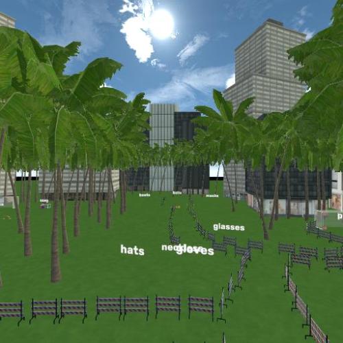 Arena Image