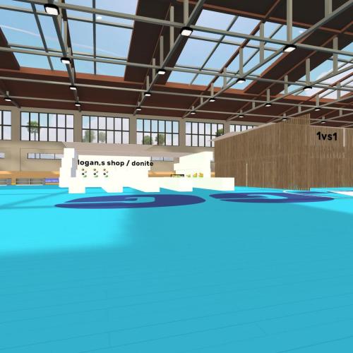 Arena Image
