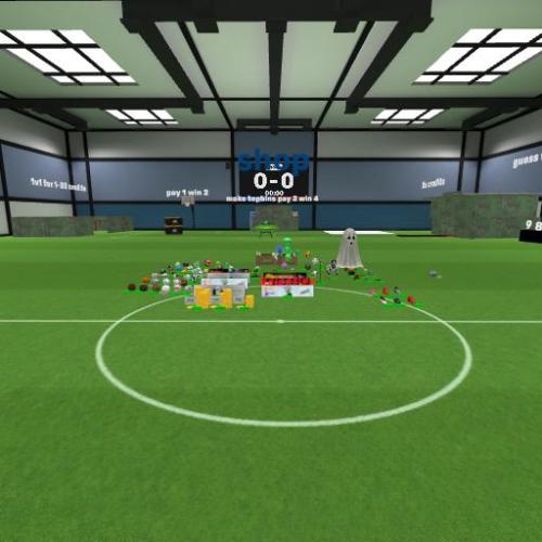 Arena Image
