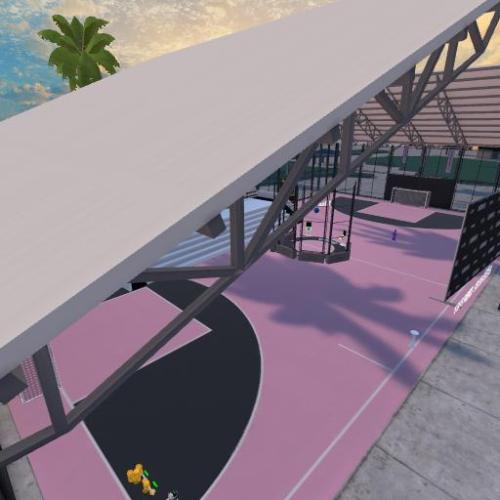 Arena Image