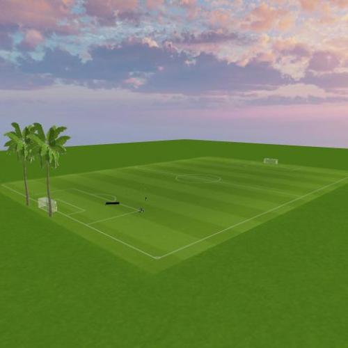 Arena Image