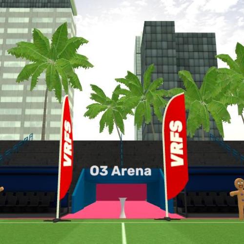 Arena Image