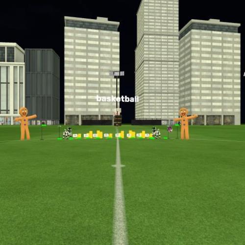 Arena Image