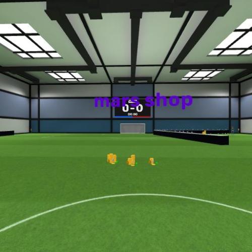 Arena Image