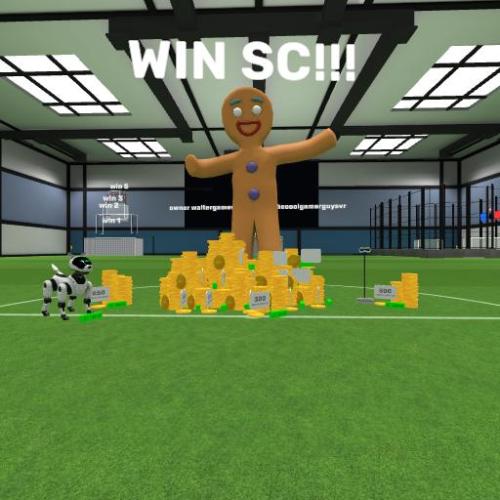 Arena Image
