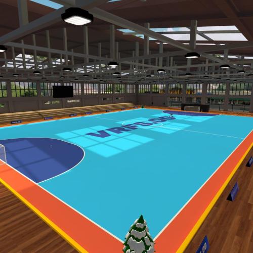 Arena Image
