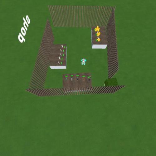 Arena Image
