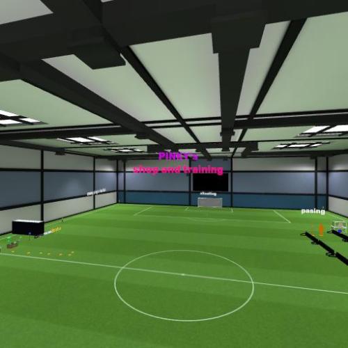 Arena Image