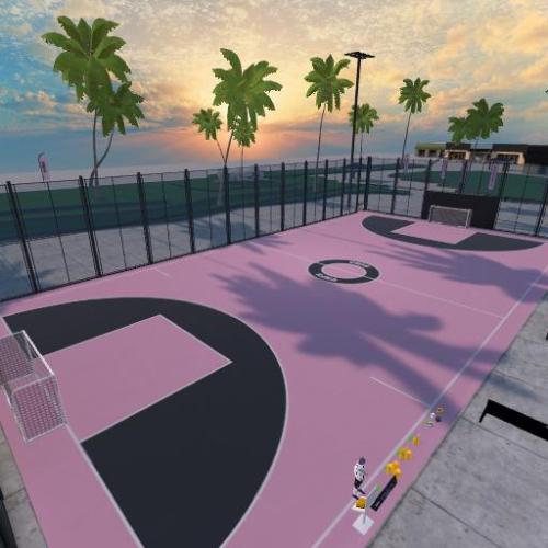 Arena Image