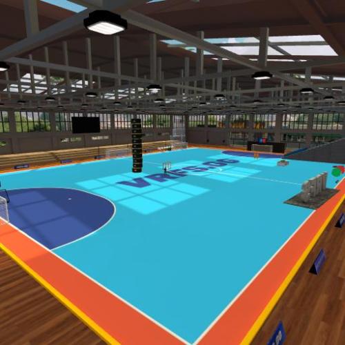 Arena Image