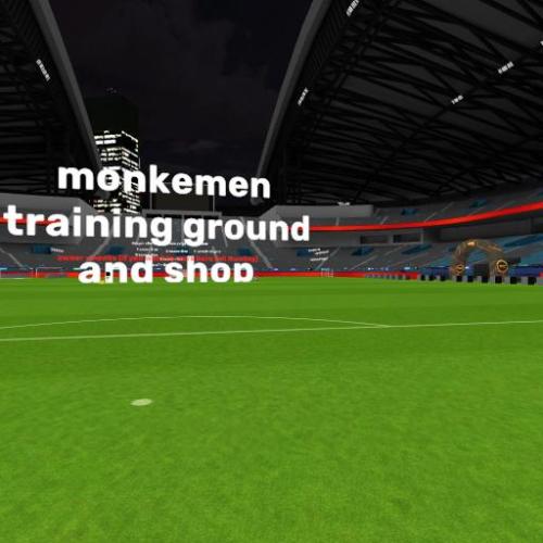 Arena Image