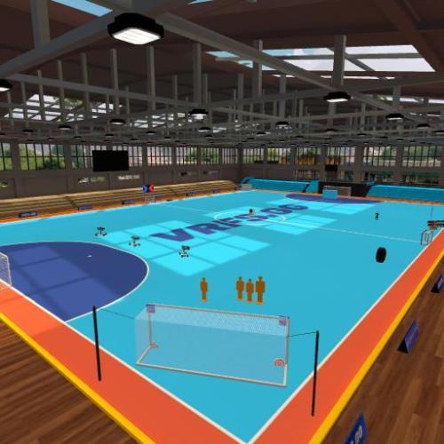 Arena Image